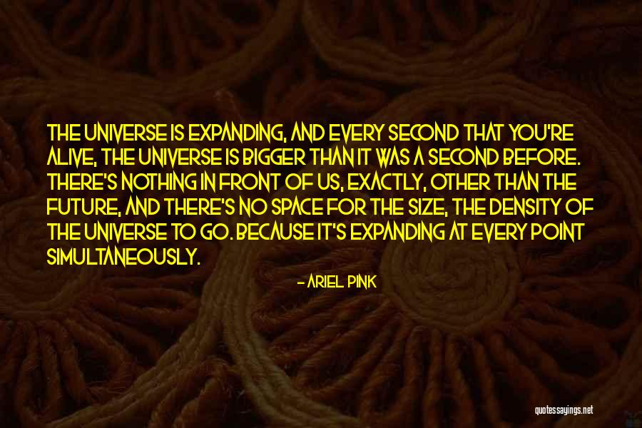 The Expanding Universe Quotes By Ariel Pink The Expanding Universe Quotes By Ariel Pink