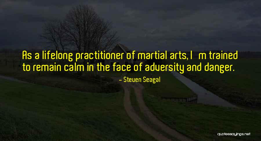 The Face Of Adversity Quotes By Steven Seagal