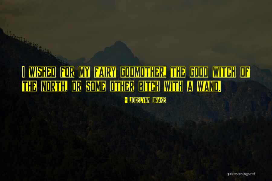 The Fairy Godmother Quotes By Jocelynn Drake The Fairy Godmother Quotes By Jocelynn Drake