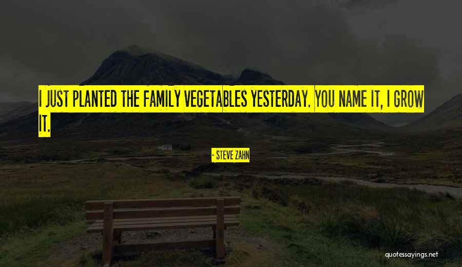 The Family Name Quotes By Steve Zahn The Family Name Quotes By Steve Zahn