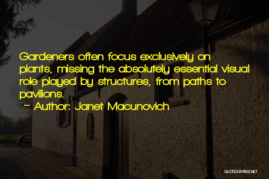 The Far Pavilions Quotes By Janet Macunovich