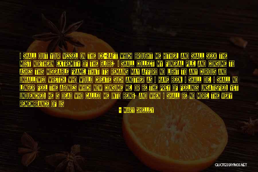 The Feeling Of Happiness Quotes By Mary Shelley The Feeling Of Happiness Quotes By Mary Shelley