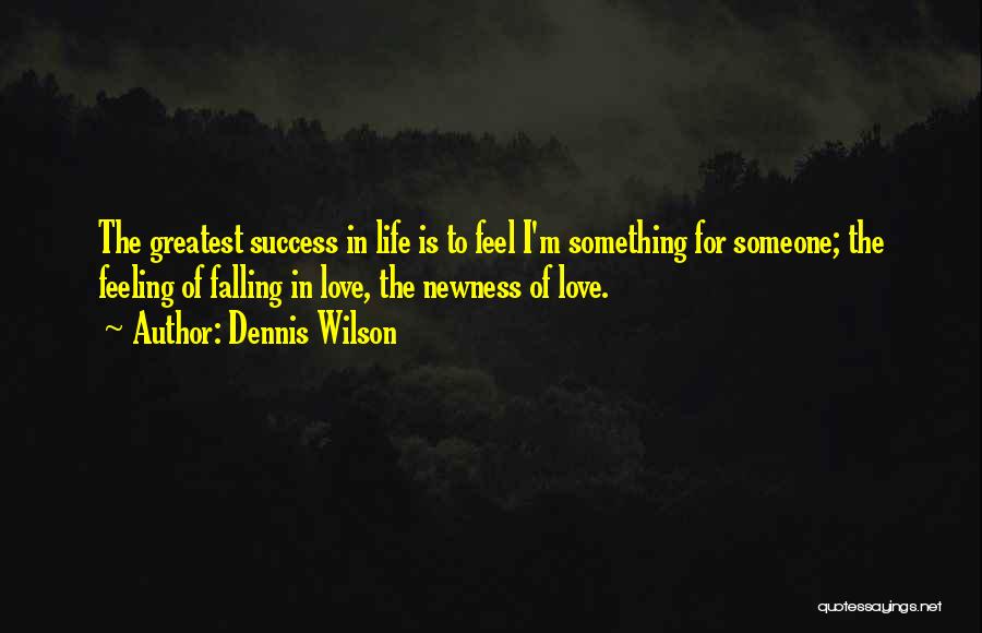 The Feeling Of Success Quotes By Dennis Wilson