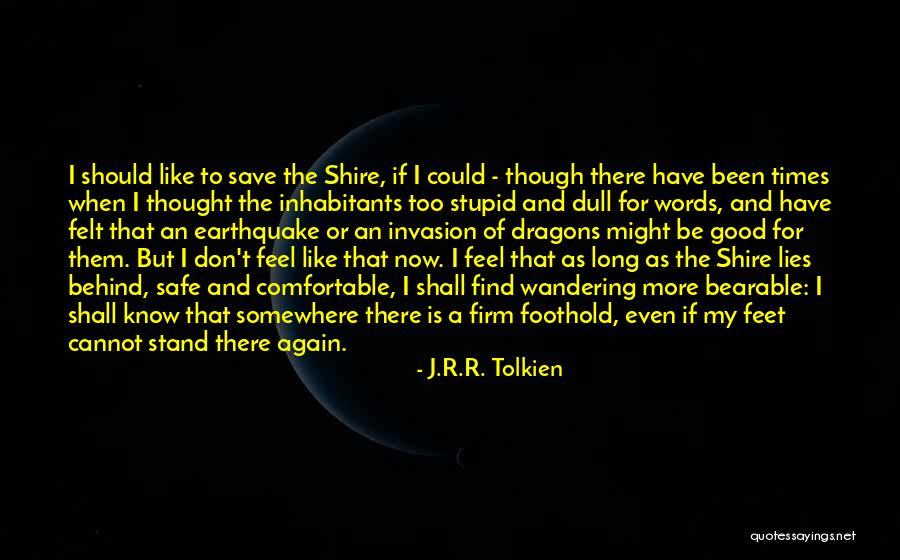 The Fellowship Of The Ring Quotes By J.R.R. Tolkien