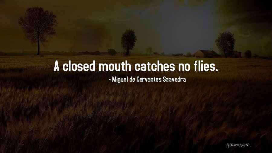 The Fifth Agreements Quotes By Miguel De Cervantes Saavedra The Fifth Agreements Quotes By Miguel De Cervantes Saavedra