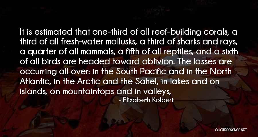 The Fifth Quarter Quotes By Elizabeth Kolbert