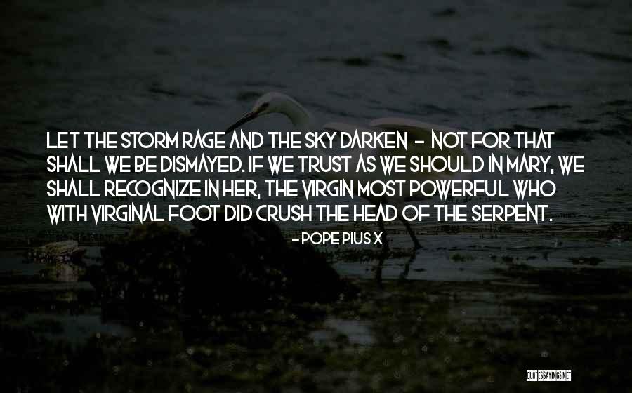 The Fifty Year Sword Quotes By Pope Pius X The Fifty Year Sword Quotes By Pope Pius X