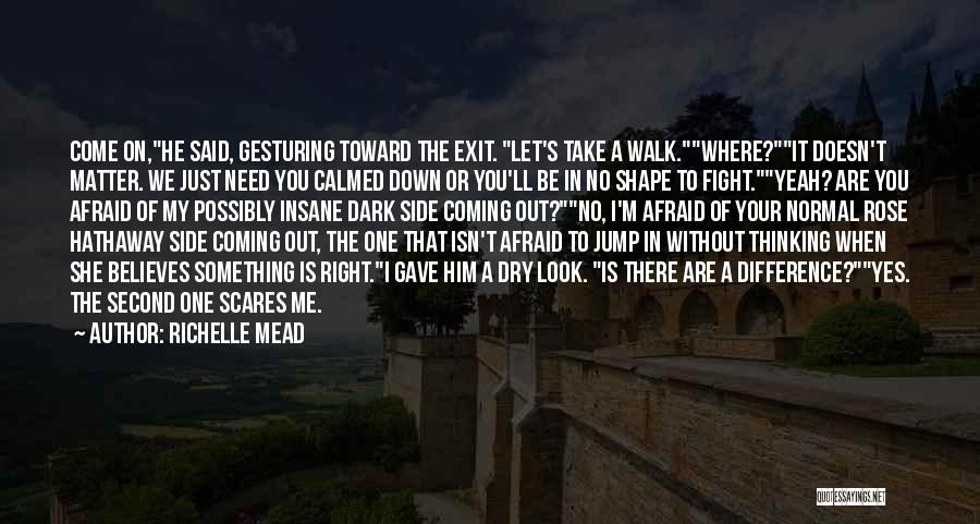 The Fight In You Quotes By Richelle Mead