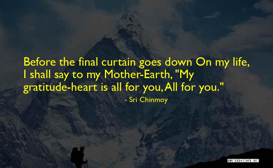 The Final Curtain Quotes By Sri Chinmoy