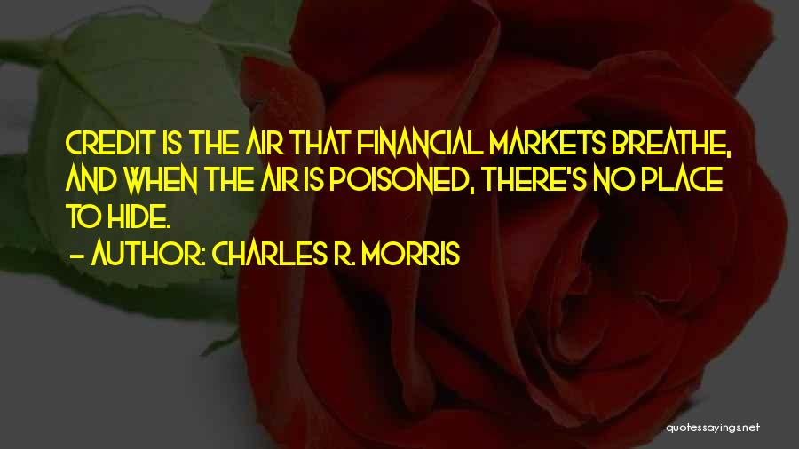 The Financial Markets Quotes By Charles R. Morris