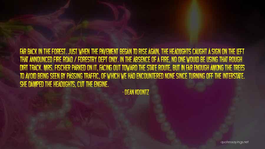 The Fire In The Road Quotes By Dean Koontz