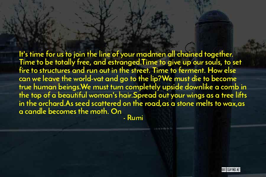 The Fire In The Road Quotes By Rumi