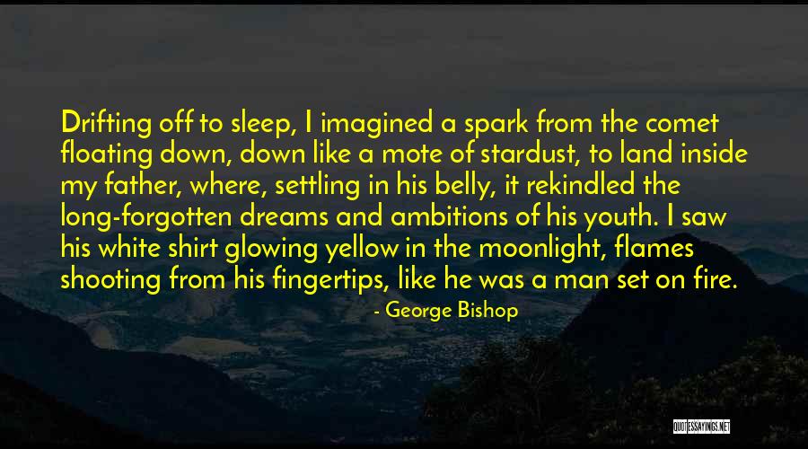 The Fire Inside Quotes By George Bishop The Fire Inside Quotes By George Bishop