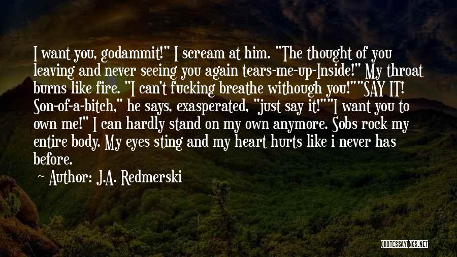 The Fire Inside You Quotes By J.A. Redmerski The Fire Inside You Quotes By J.A. Redmerski