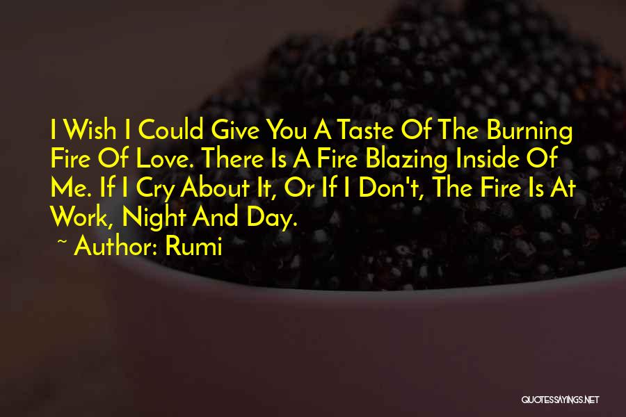 The Fire Inside You Quotes By Rumi The Fire Inside You Quotes By Rumi
