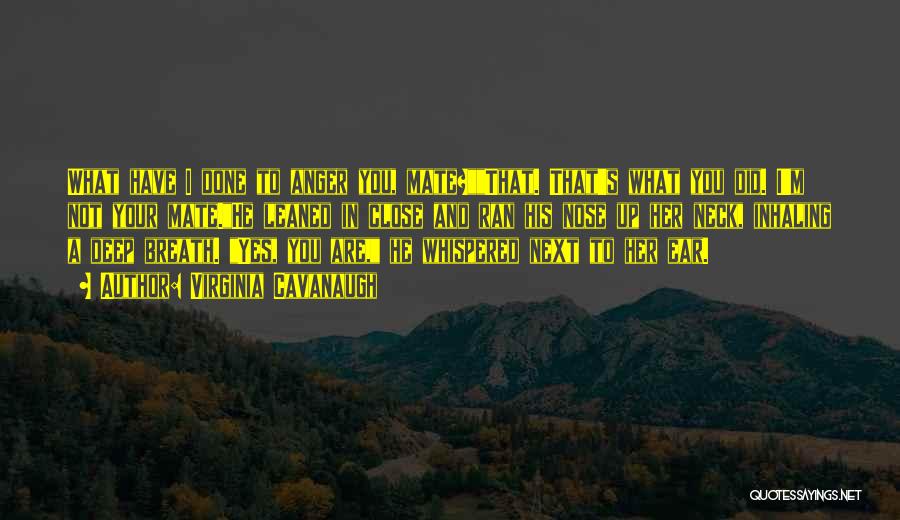 The Fire Inside You Quotes By Virginia Cavanaugh The Fire Inside You Quotes By Virginia Cavanaugh