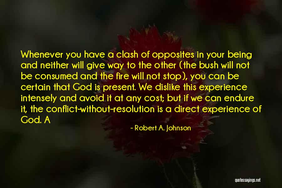 The Fire Of God Quotes By Robert A. Johnson The Fire Of God Quotes By Robert A. Johnson