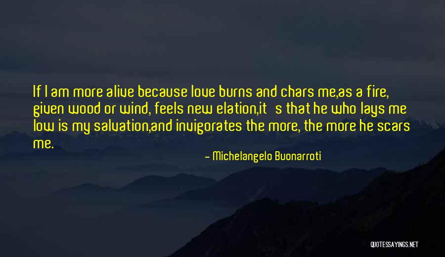 The Fire Quotes By Michelangelo Buonarroti