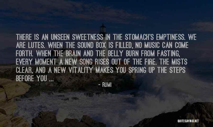 The Fire Quotes By Rumi