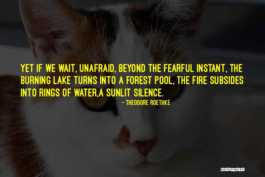 The Fire Quotes By Theodore Roethke