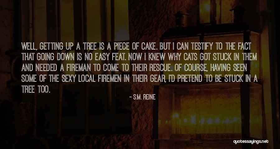 The Fireman Quotes By S.M. Reine The Fireman Quotes By S.M. Reine