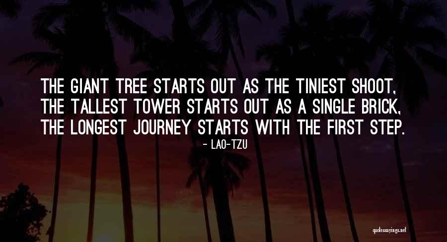 The First Step In A Journey Quotes By Lao-Tzu