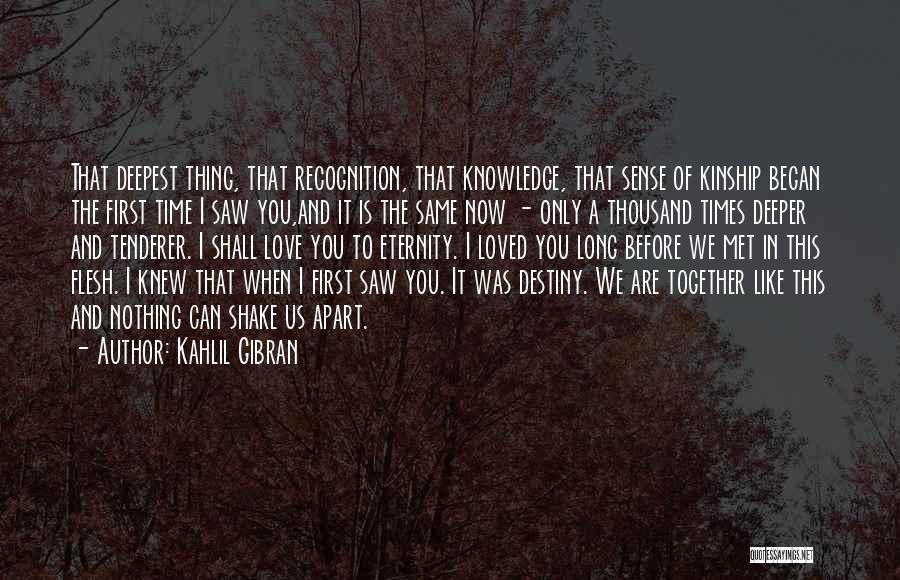 The First Time I Met You Love Quotes By Kahlil Gibran