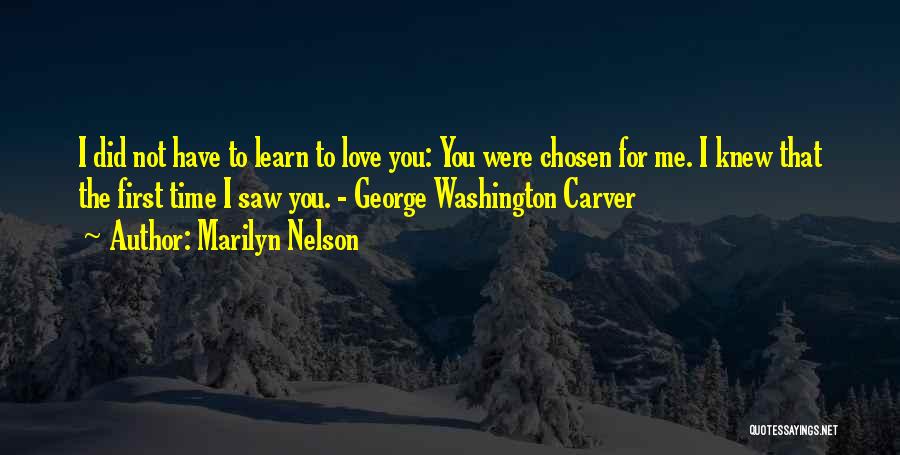 The First Time I Saw You Love Quotes By Marilyn Nelson