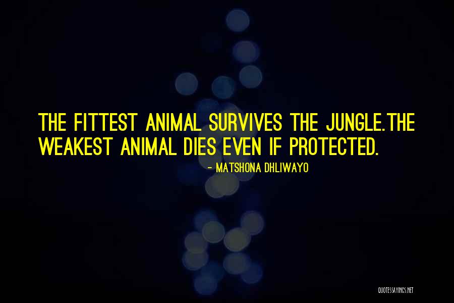The Fittest Survives Quotes By Matshona Dhliwayo The Fittest Survives Quotes By Matshona Dhliwayo