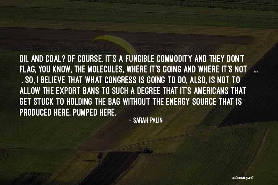 The Flag Of The United States Quotes By Sarah Palin