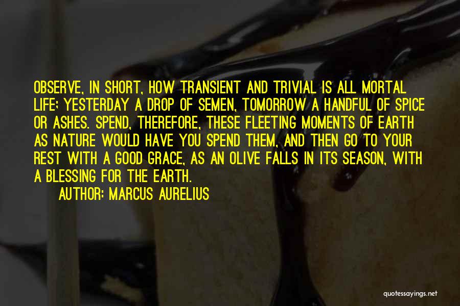 The Fleeting Nature Of Life Quotes By Marcus Aurelius