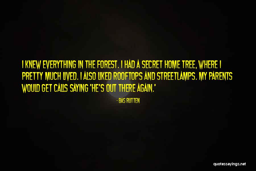 The Forest Again Quotes By Bas Rutten The Forest Again Quotes By Bas Rutten