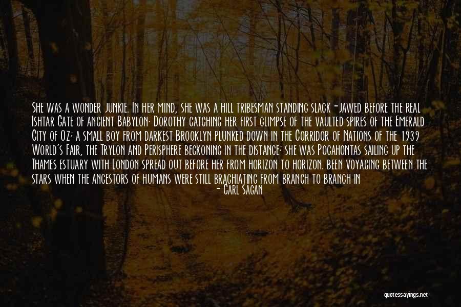 The Forest Again Quotes By Carl Sagan The Forest Again Quotes By Carl Sagan