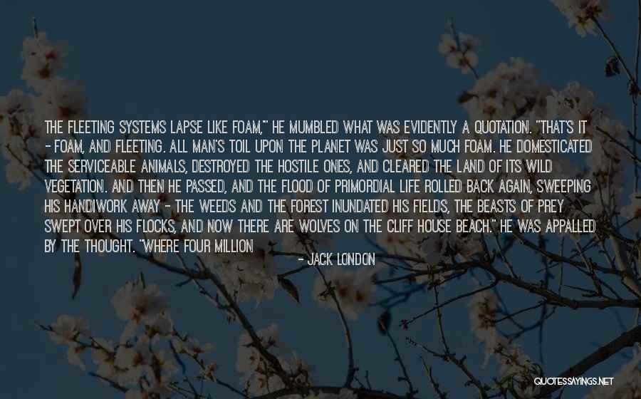 The Forest Again Quotes By Jack London The Forest Again Quotes By Jack London