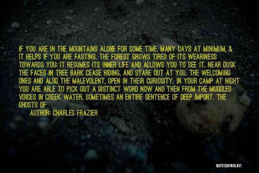 The Forest At Night Quotes By Charles Frazier