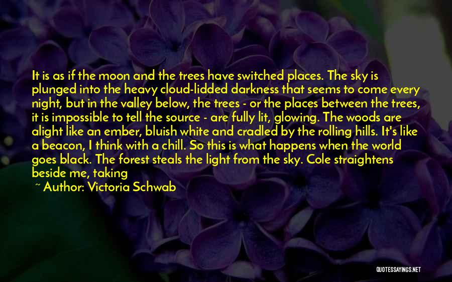 The Forest At Night Quotes By Victoria Schwab