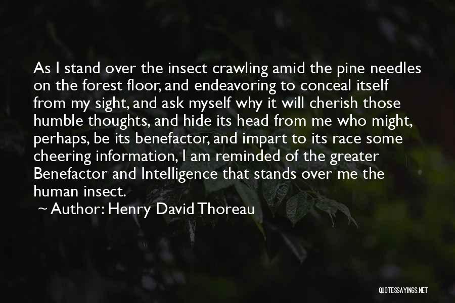 The Forest Floor Quotes By Henry David Thoreau