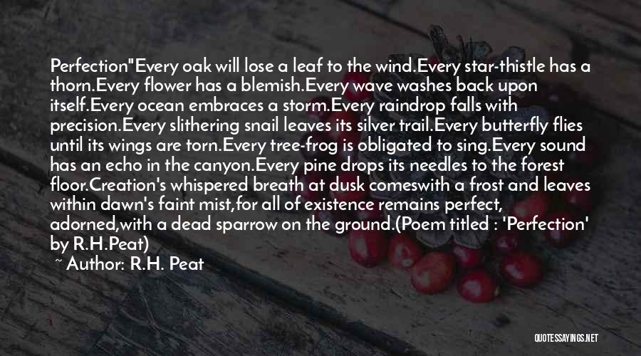 The Forest Floor Quotes By R.H. Peat
