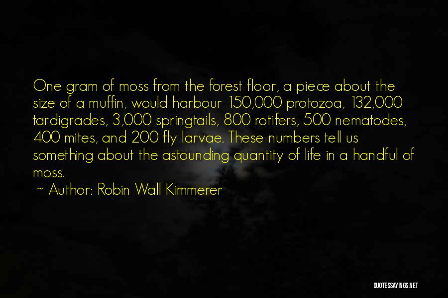 The Forest Floor Quotes By Robin Wall Kimmerer