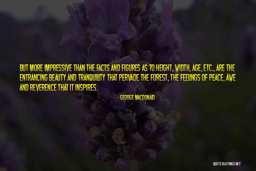 The Forest Quotes By George MacDonald