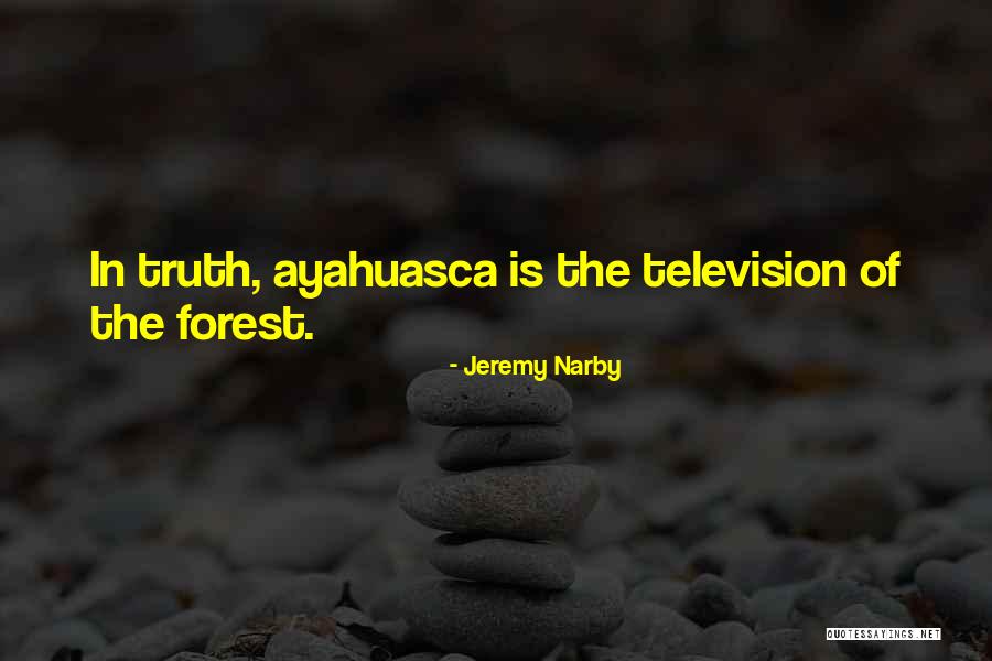 The Forest Quotes By Jeremy Narby