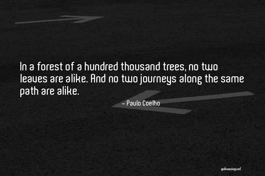 The Forest Quotes By Paulo Coelho