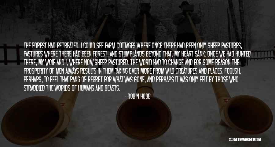 The Forest Quotes By Robin Hobb