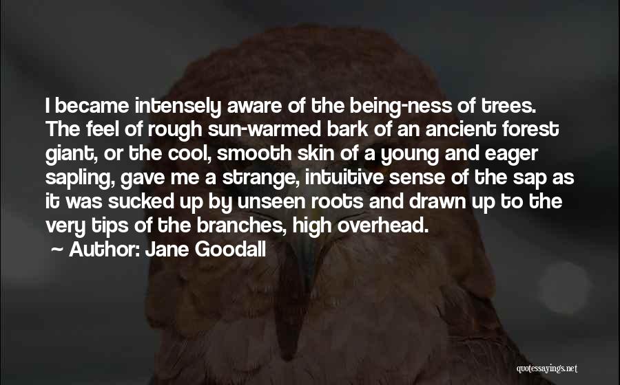 The Forest Unseen Quotes By Jane Goodall