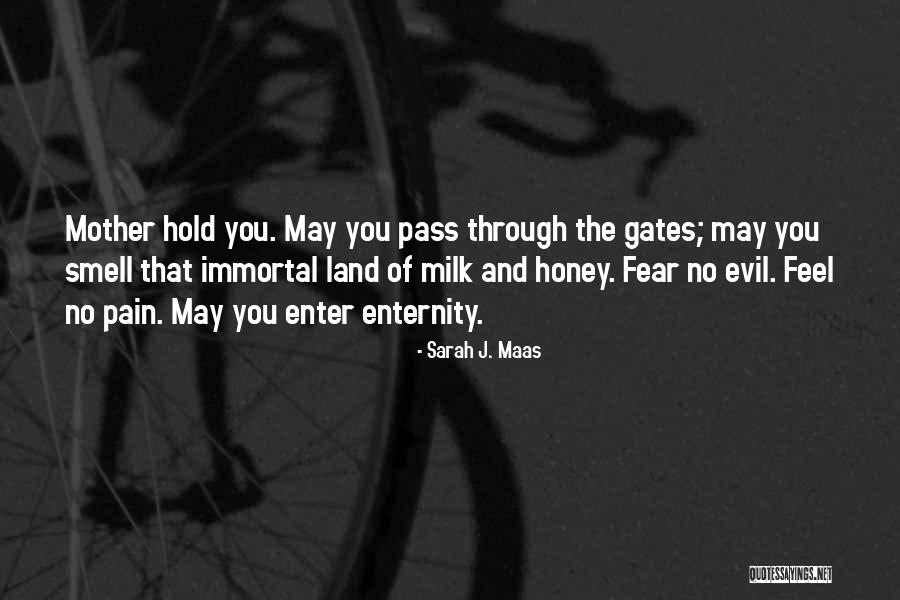 The Fountain Of Fair Fortune Quotes By Sarah J. Maas The Fountain Of Fair Fortune Quotes By Sarah J. Maas