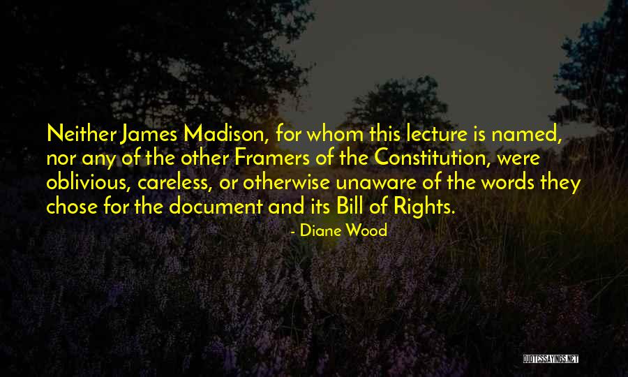 The Framers Of The Constitution Quotes By Diane Wood