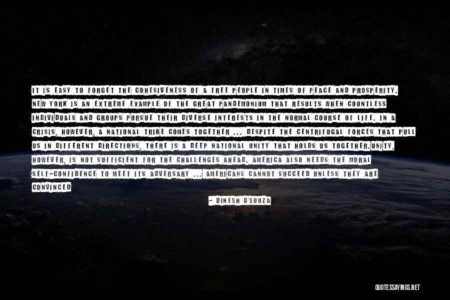 The Freedom Of America Quotes By Dinesh D'Souza The Freedom Of America Quotes By Dinesh D'Souza