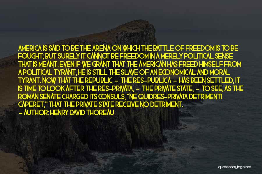 The Freedom Of America Quotes By Henry David Thoreau