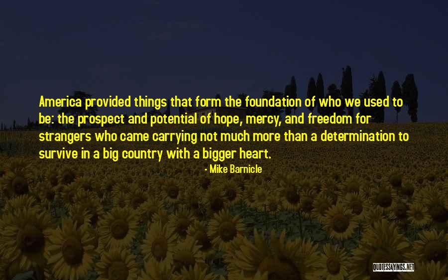 The Freedom Of America Quotes By Mike Barnicle The Freedom Of America Quotes By Mike Barnicle