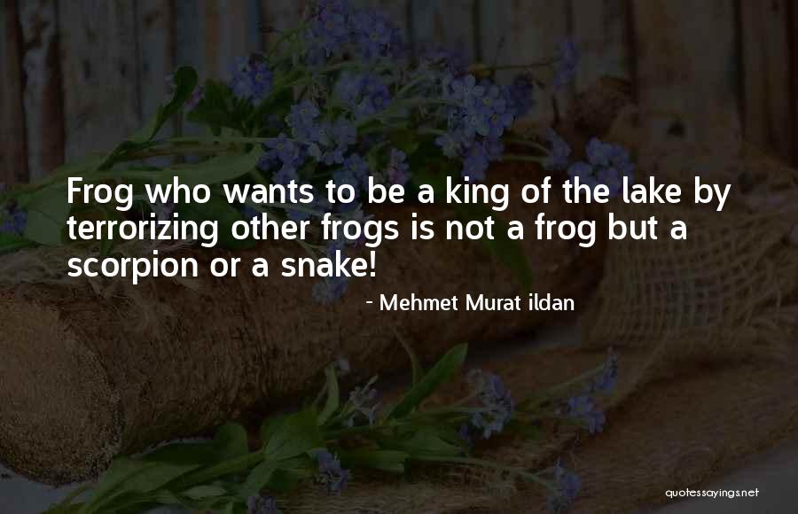 The Frog King Quotes By Mehmet Murat Ildan The Frog King Quotes By Mehmet Murat Ildan